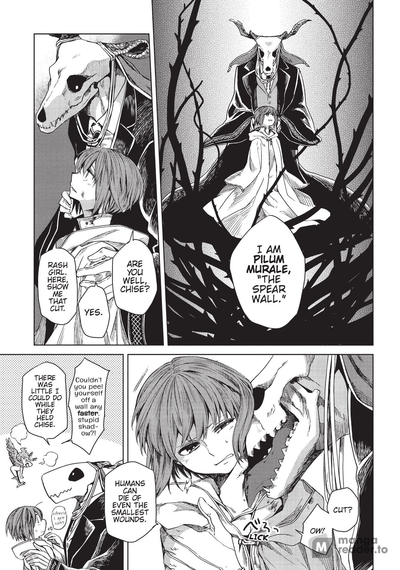 The Ancient Magus Bride, Chapter 6 image 13