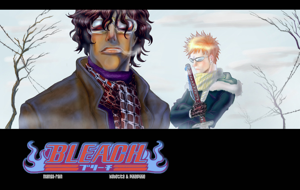 Bleach, Chapter 113 image 20