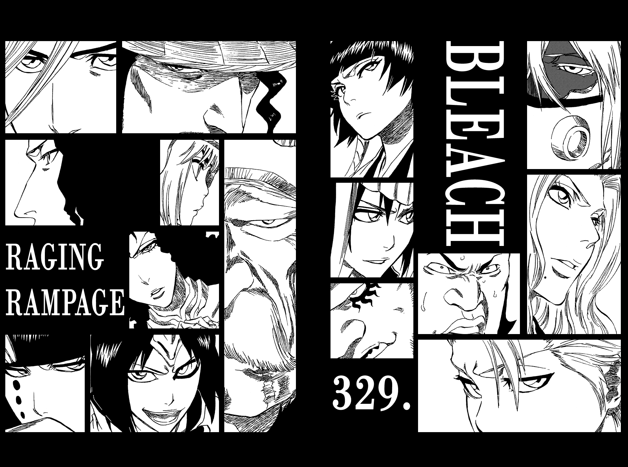 Bleach, Chapter 329 image 11