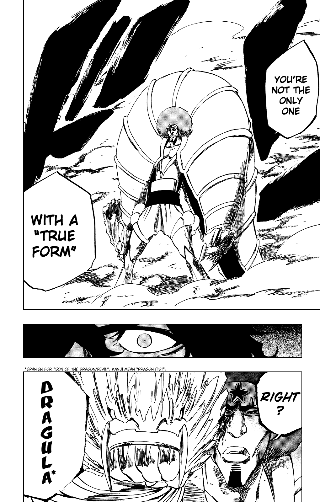 Bleach, Chapter 260 image 12