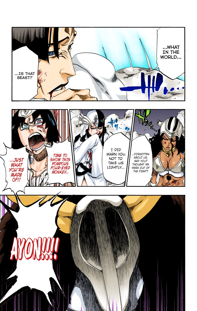 Bleach, Chapter 491 image 19
