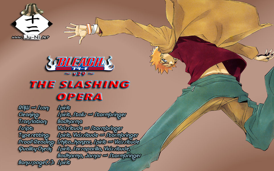 Bleach, Chapter 252 image 01
