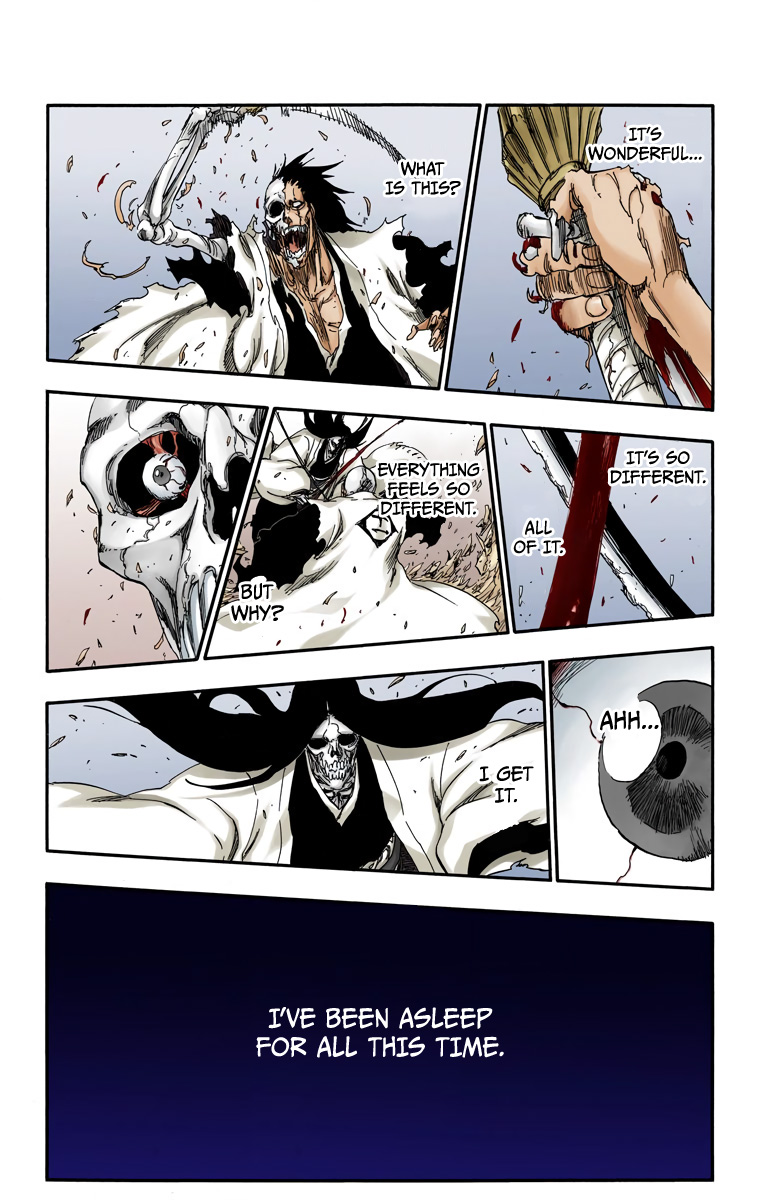 Bleach, Chapter 526 image 10