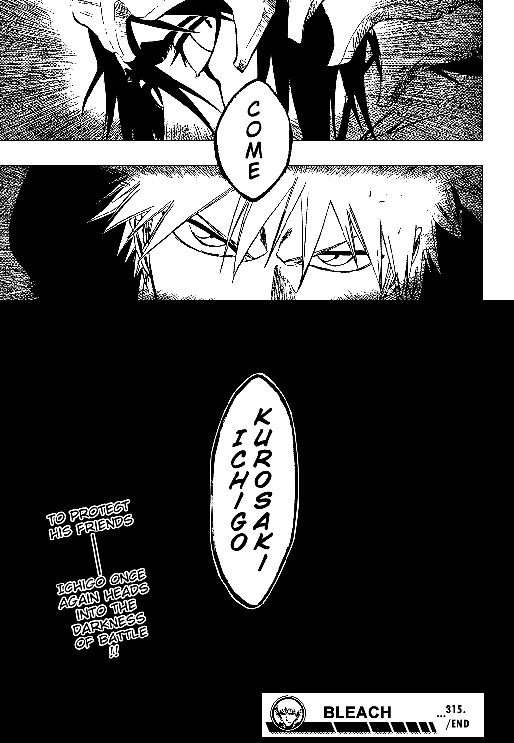 Bleach, Chapter 315 image 18