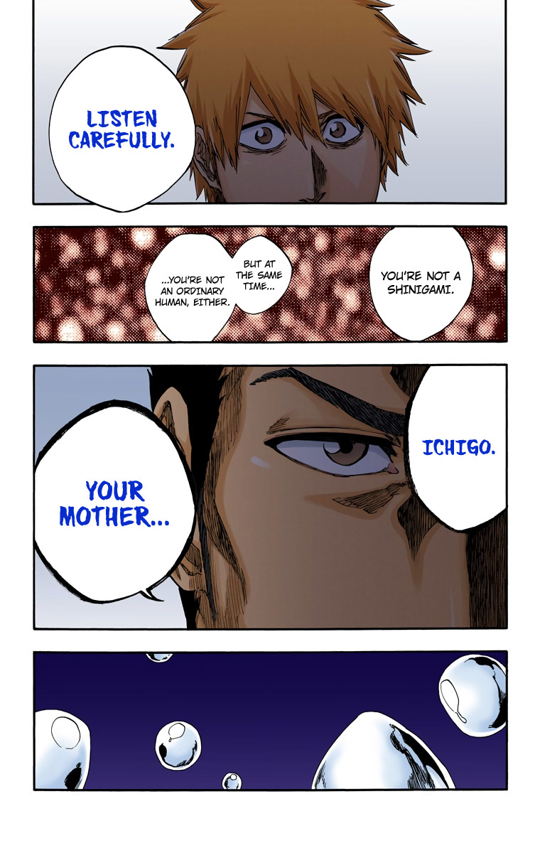 Bleach, Chapter 528 image 17