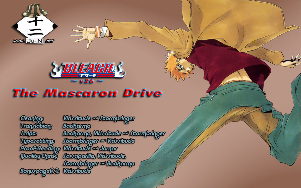 Bleach, Chapter 224 image 01