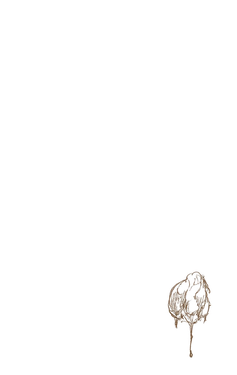Bleach, Chapter 557 image 17