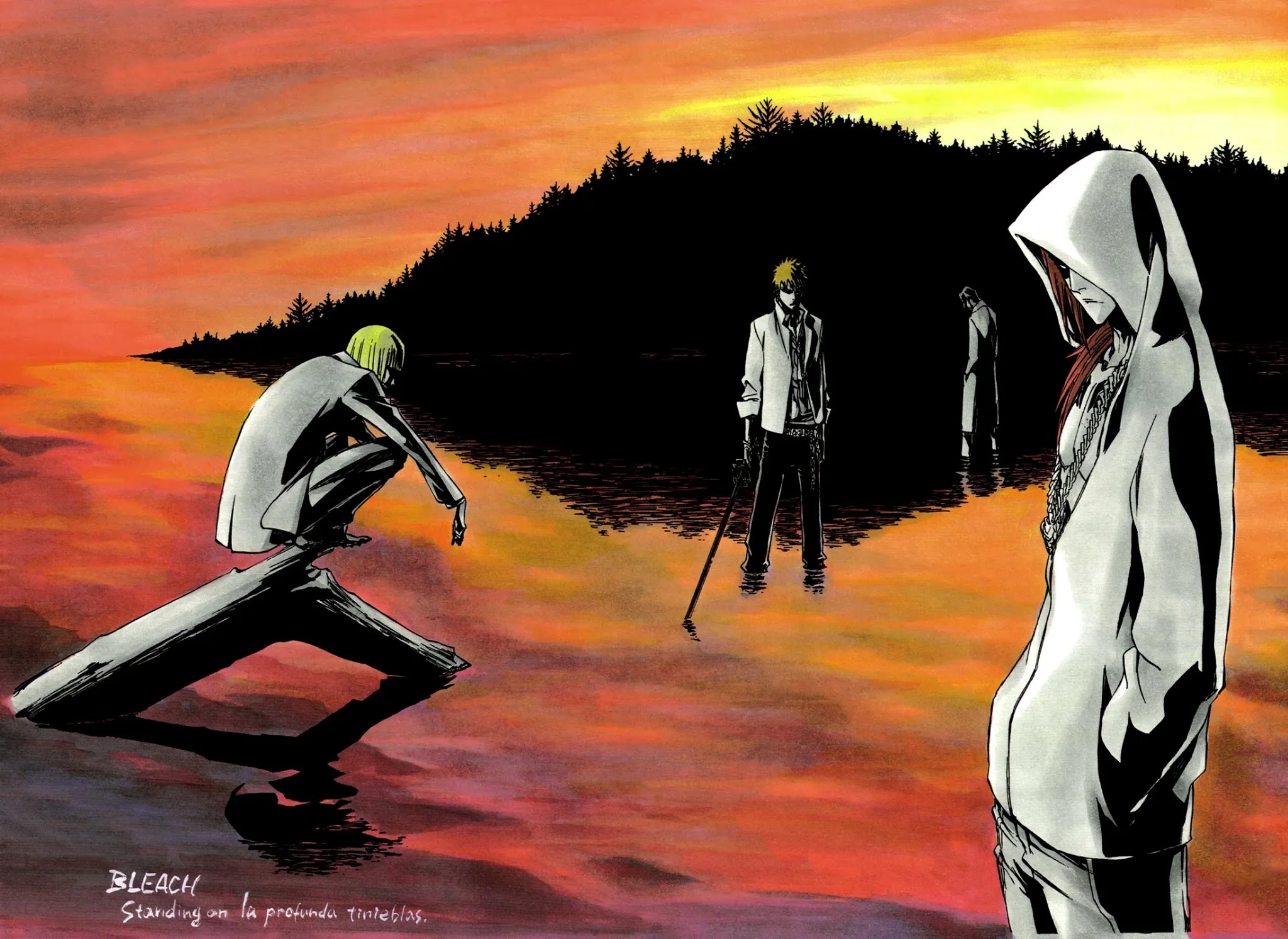 Bleach, Chapter 270 image 14