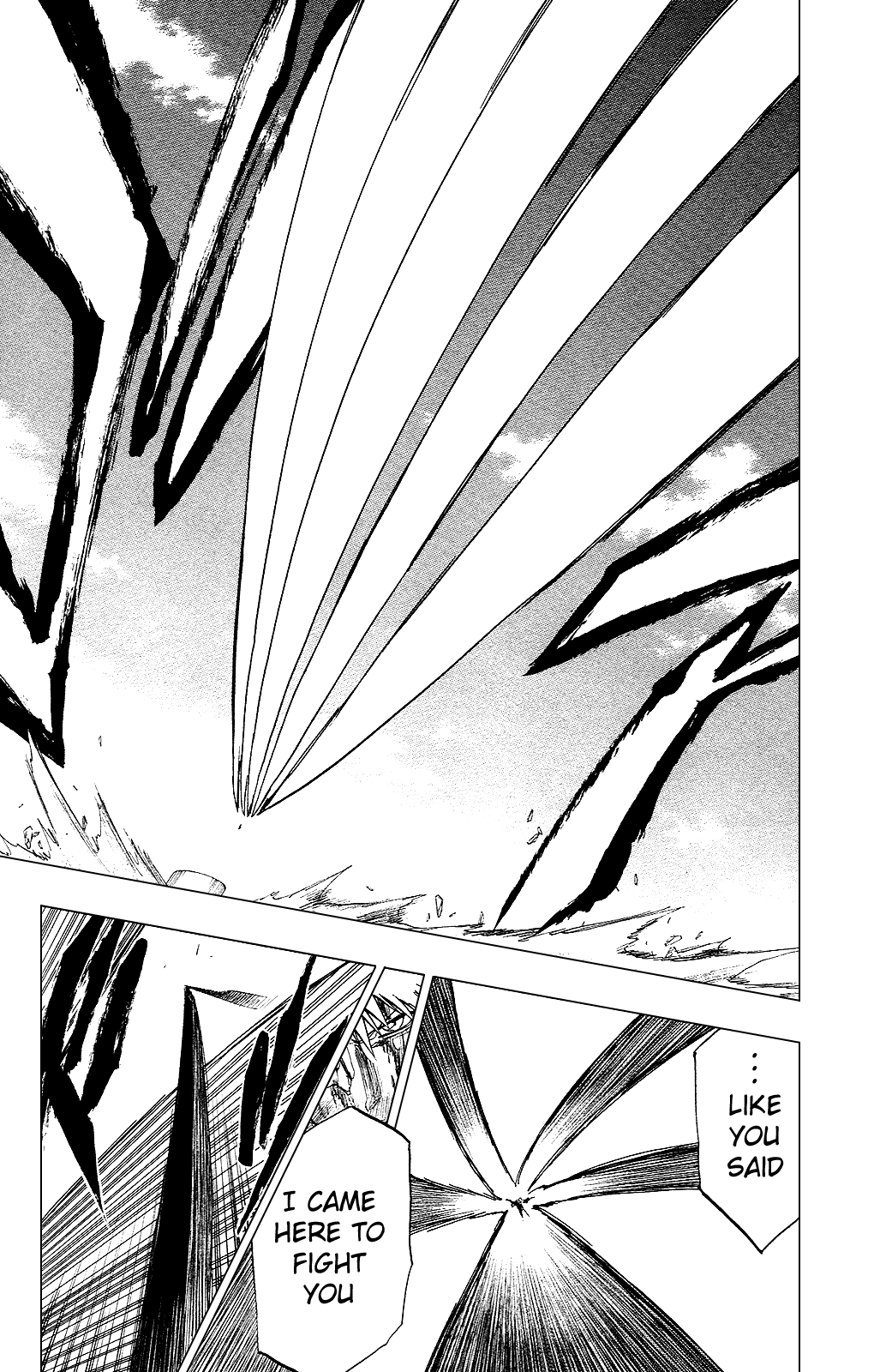 Bleach, Chapter 285 image 14