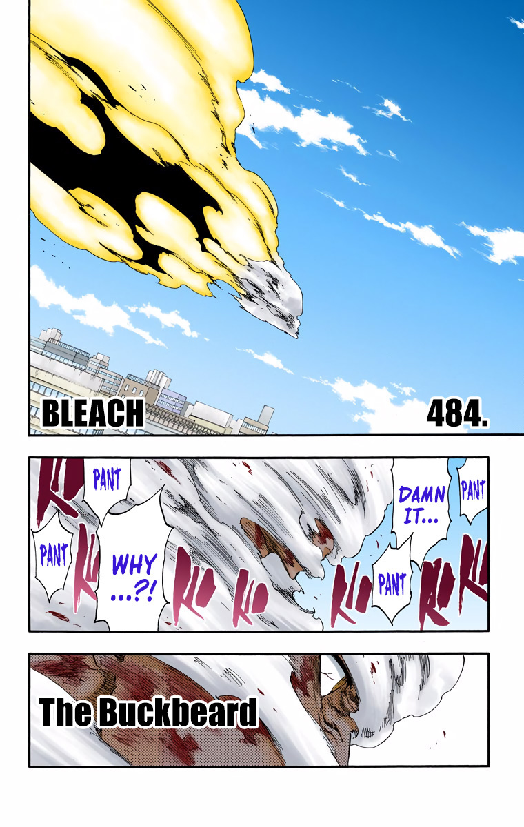 Bleach, Chapter 484 image 09