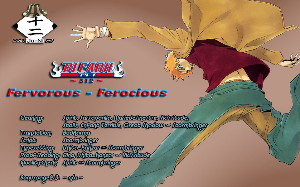Bleach, Chapter 312 image 01