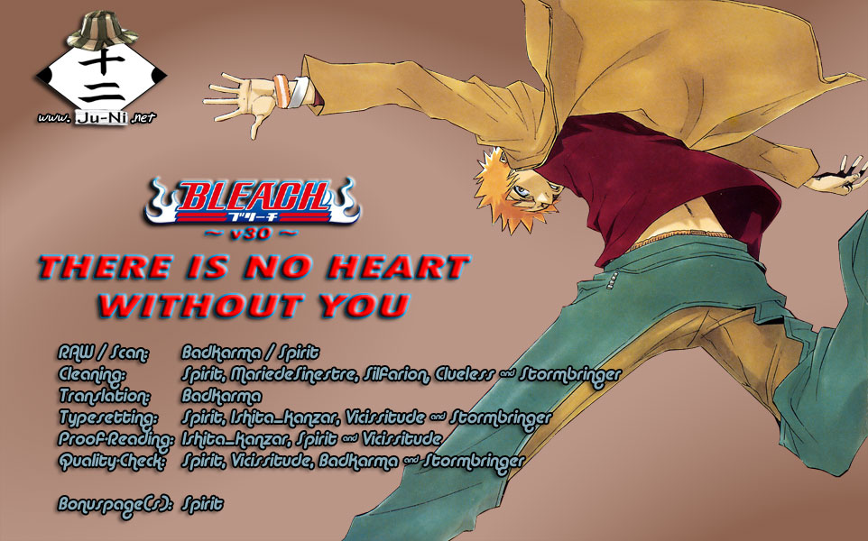 Bleach, Chapter 261 image 01
