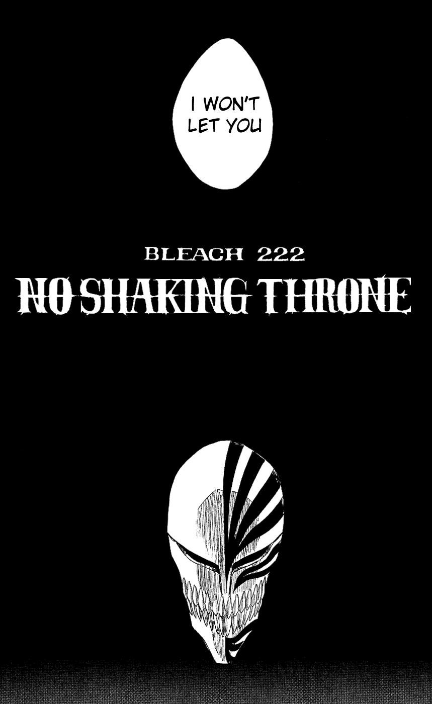 Bleach, Chapter 222 image 14