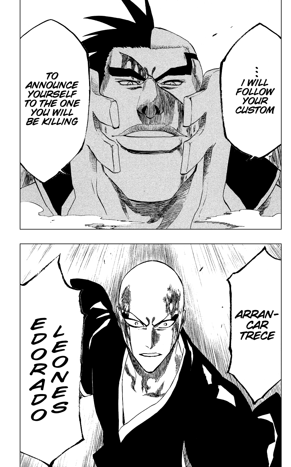 Bleach, Chapter 203 image 19