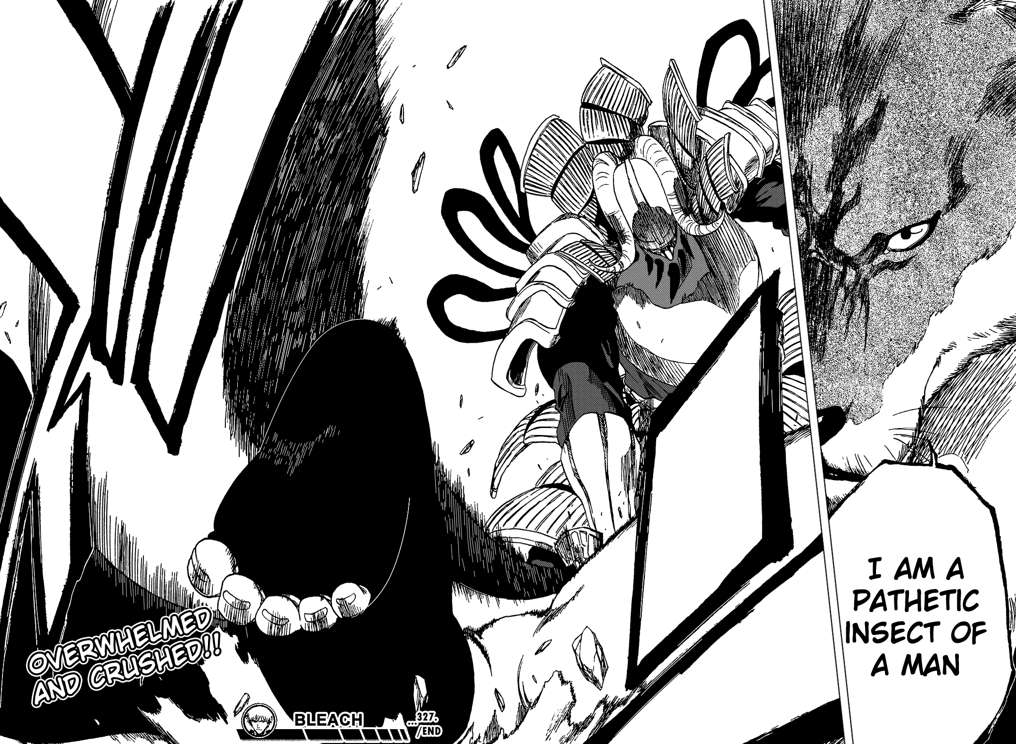 Bleach, Chapter 327 image 19