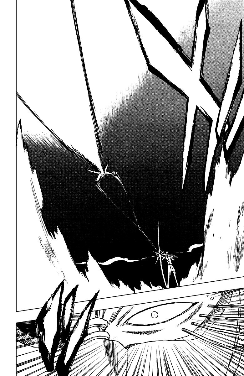 Bleach, Chapter 243 image 11