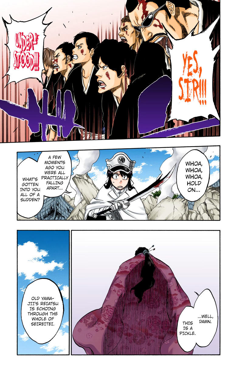 Bleach, Chapter 505 image 13