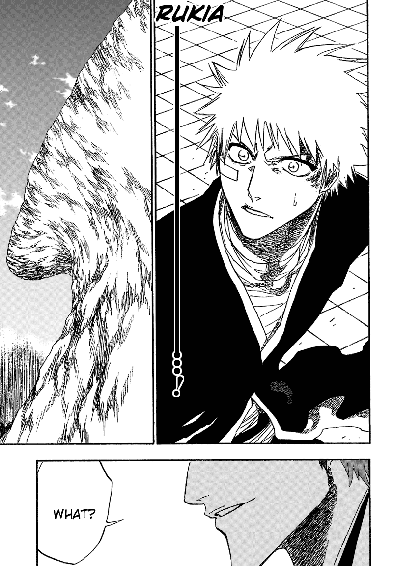 Bleach, Chapter 172 image 19