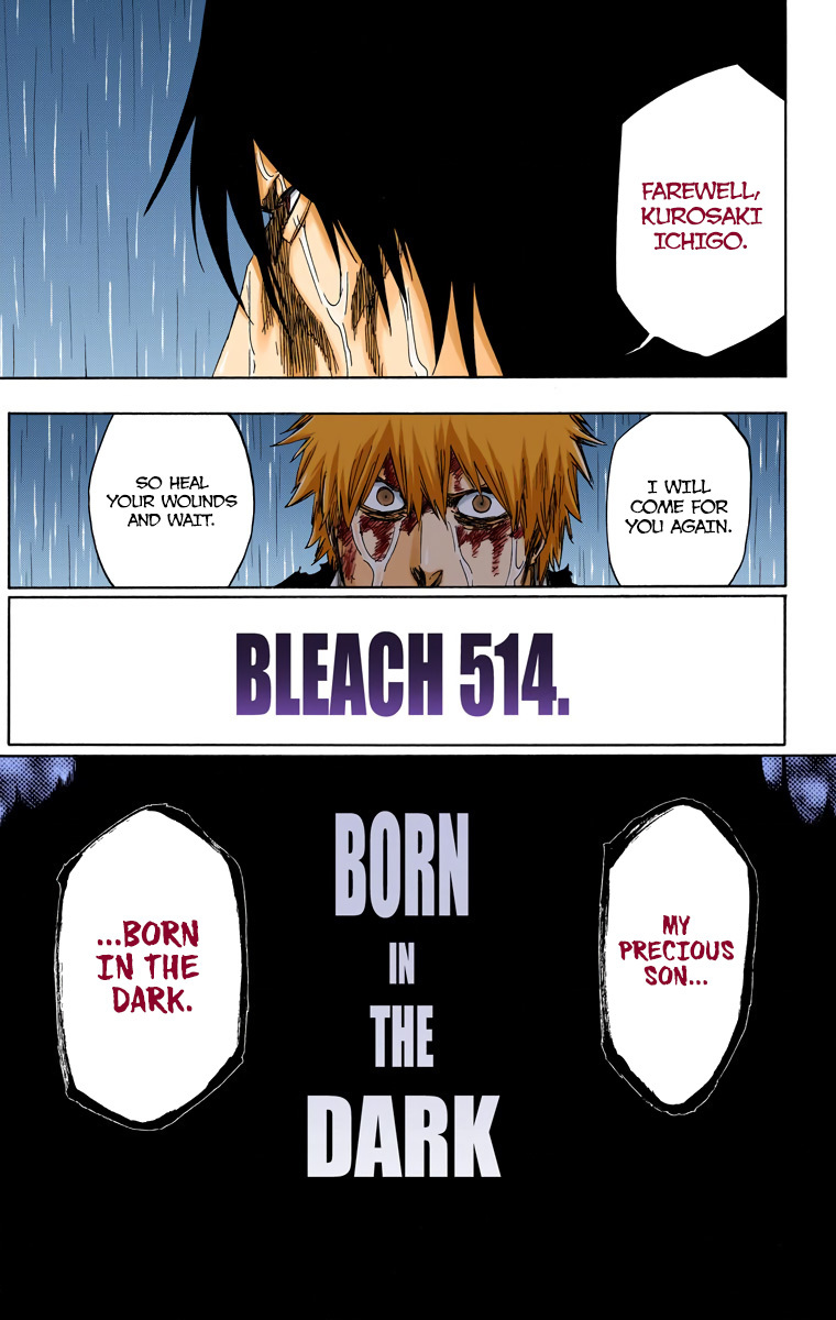 Bleach, Chapter 514 image 19
