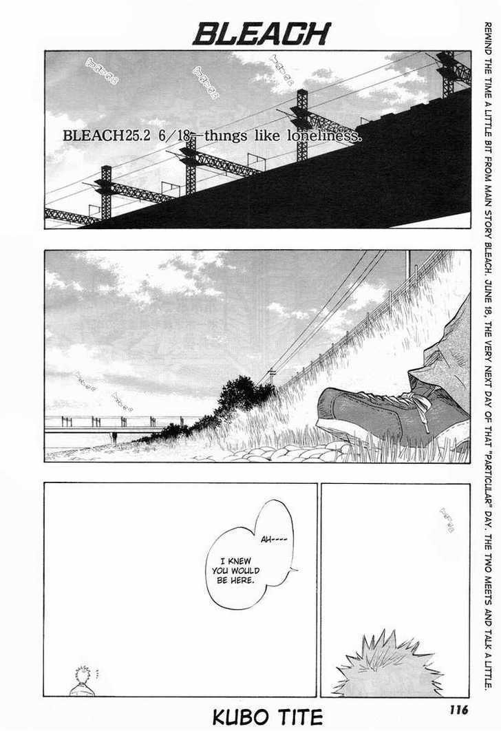 Bleach, Chapter 25.2 image 1