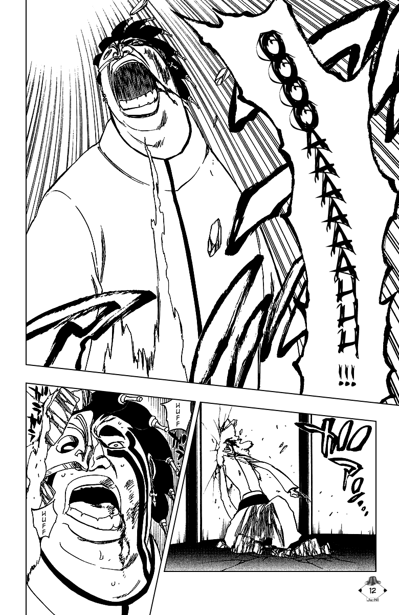 Bleach, Chapter 243 image 13