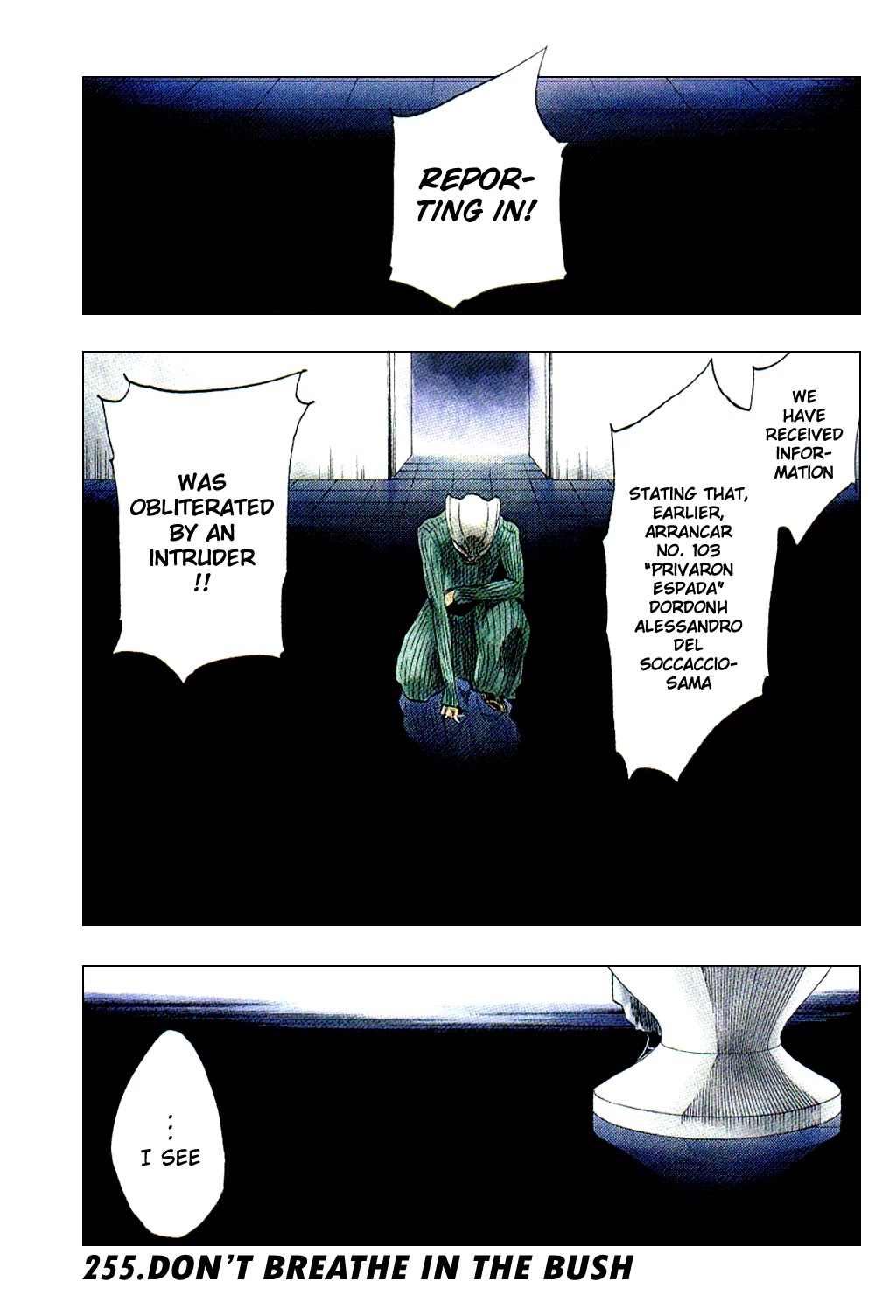 Bleach, Chapter 255 image 02