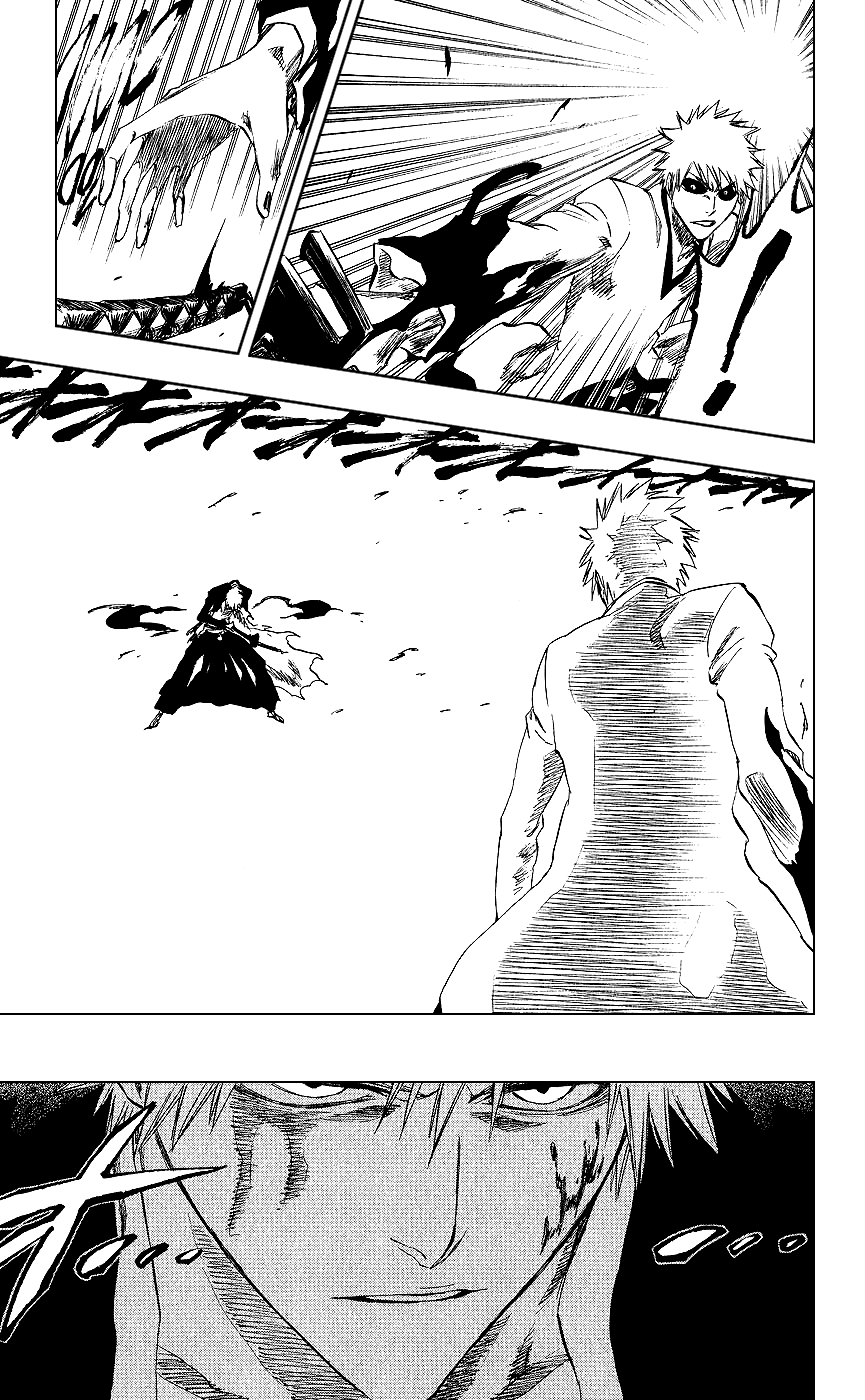 Bleach, Chapter 220 image 19