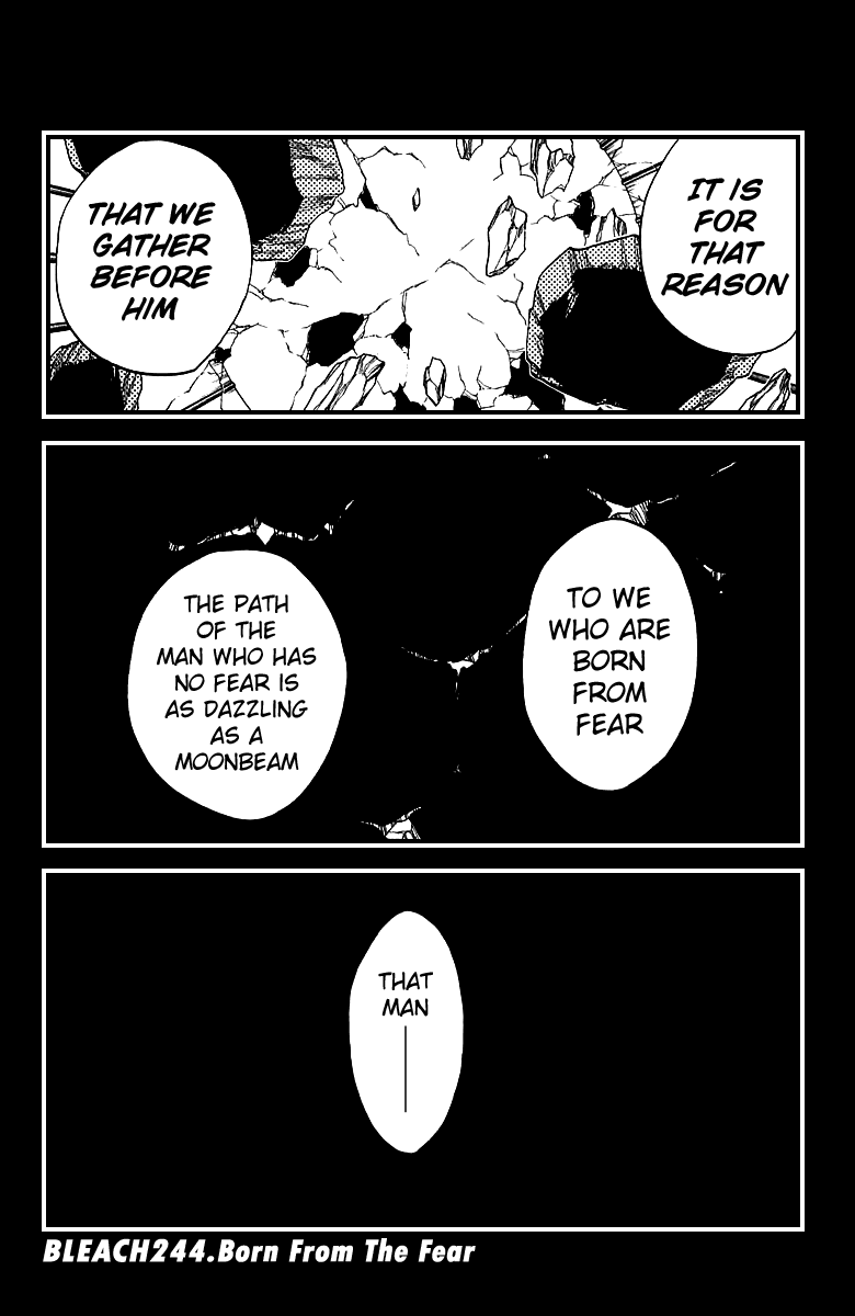 Bleach, Chapter 244 image 06