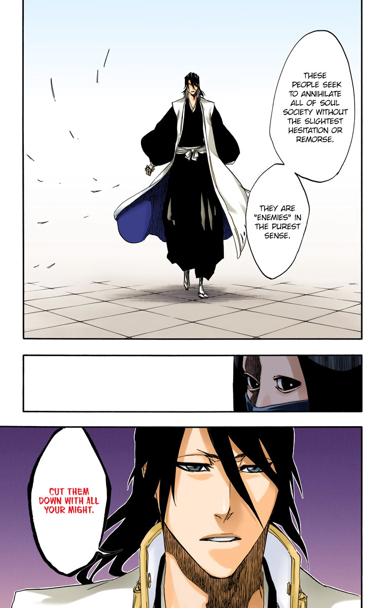 Bleach, Chapter 495 image 19