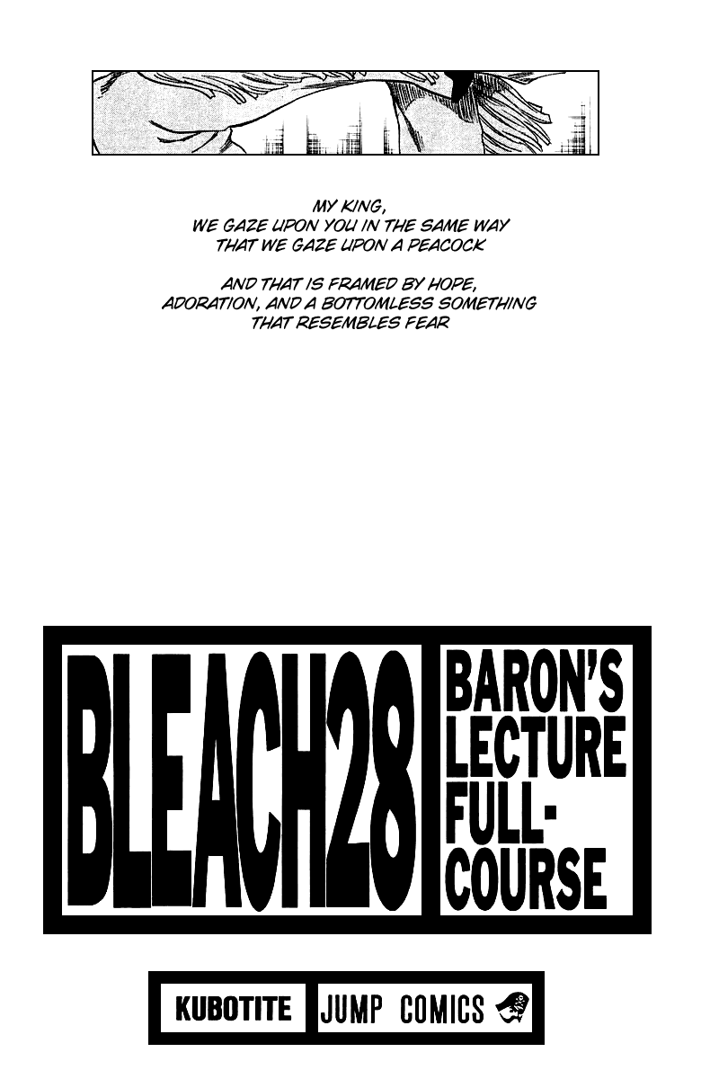 Bleach, Chapter 243 image 05