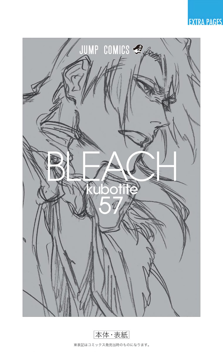 Bleach, Chapter 509 image 22