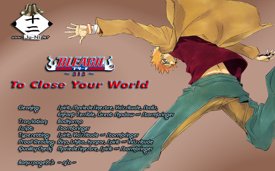 Bleach, Chapter 313 image 01