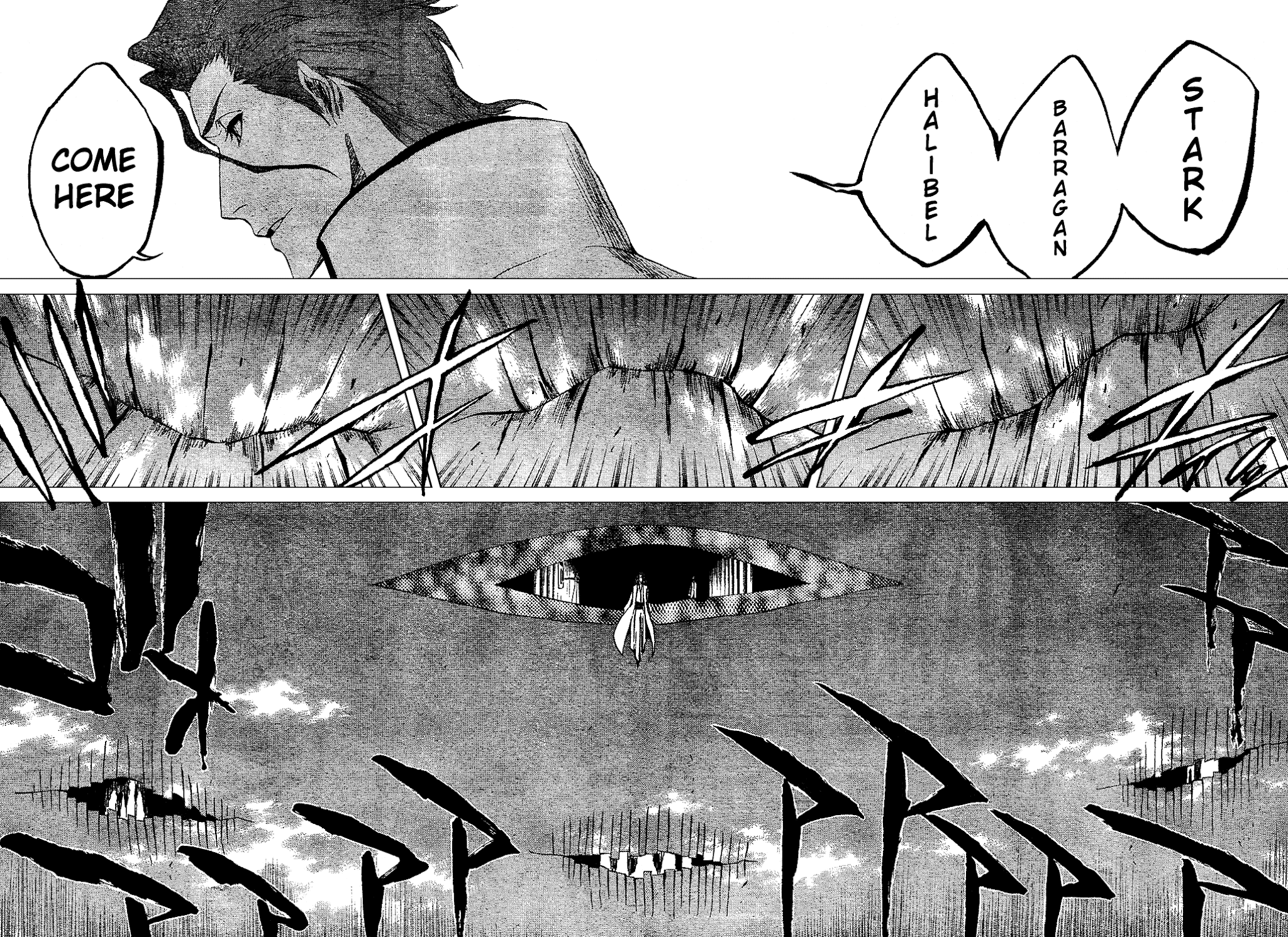 Bleach, Chapter 315 image 11