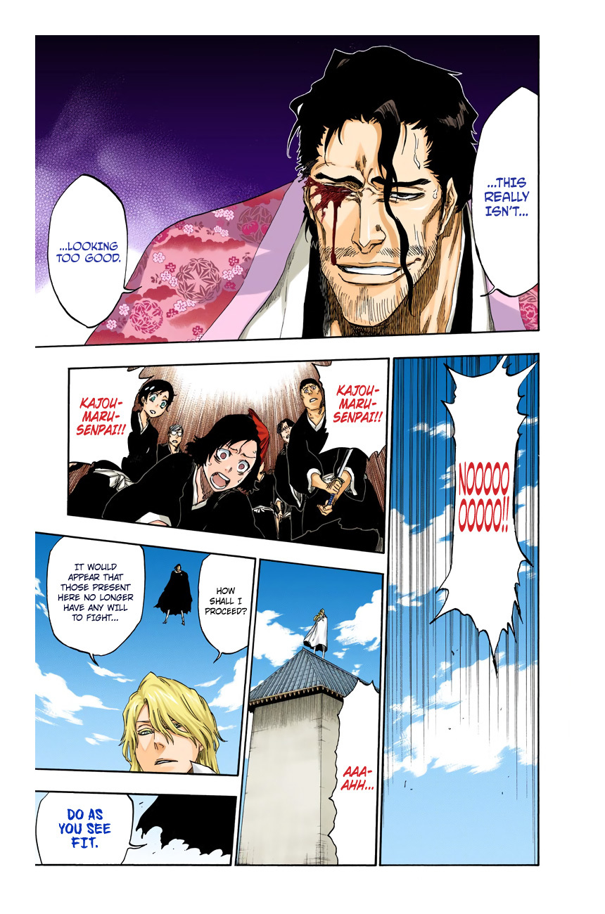 Bleach, Chapter 497 image 13