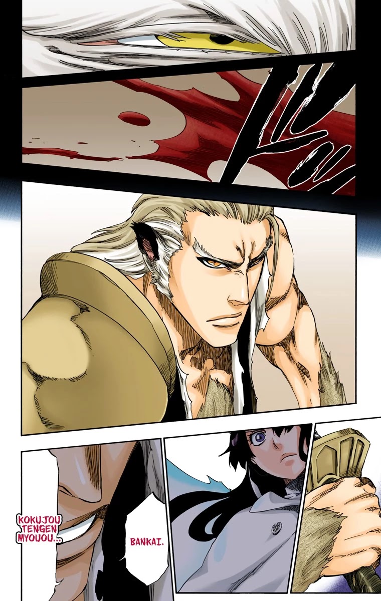 Bleach, Chapter 556 image 17