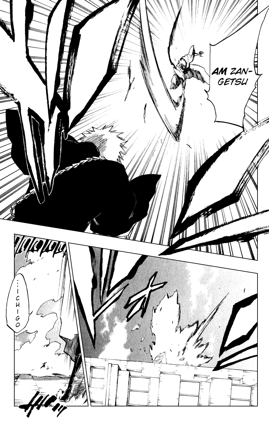 Bleach, Chapter 218 image 19