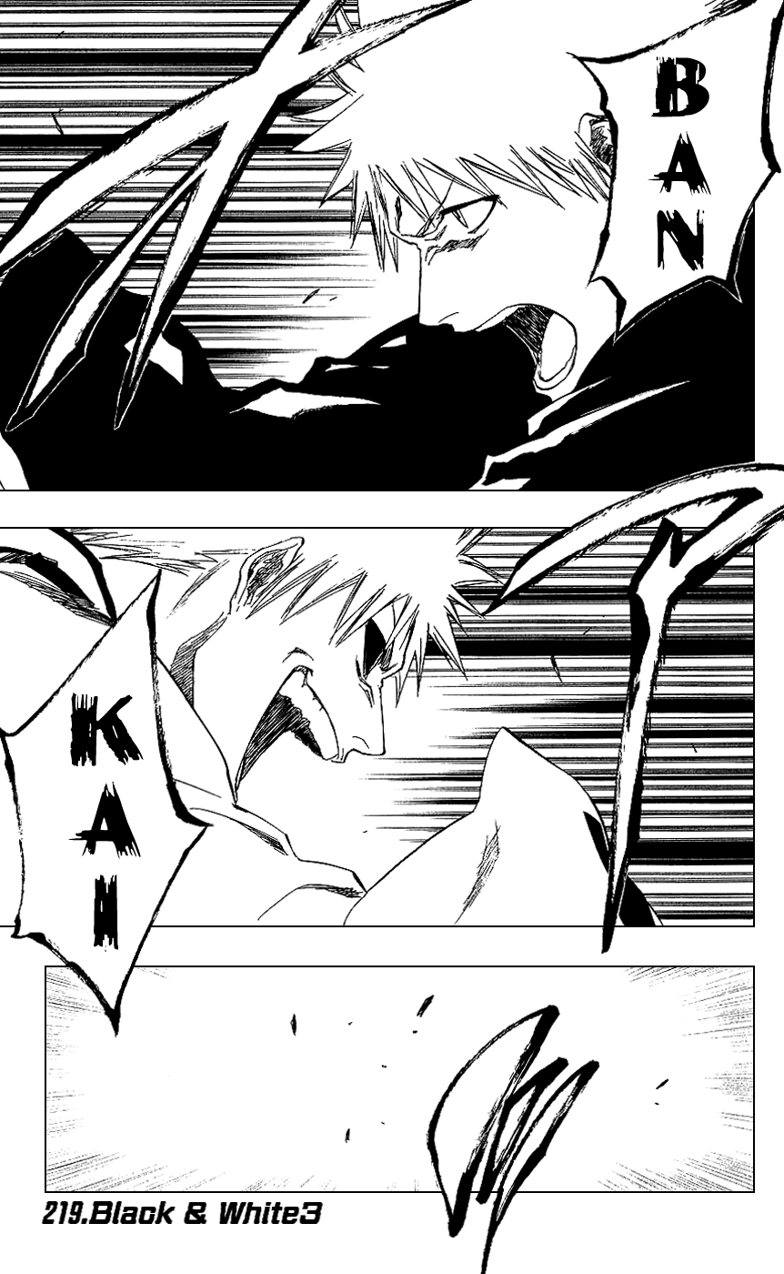 Bleach, Chapter 219 image 01