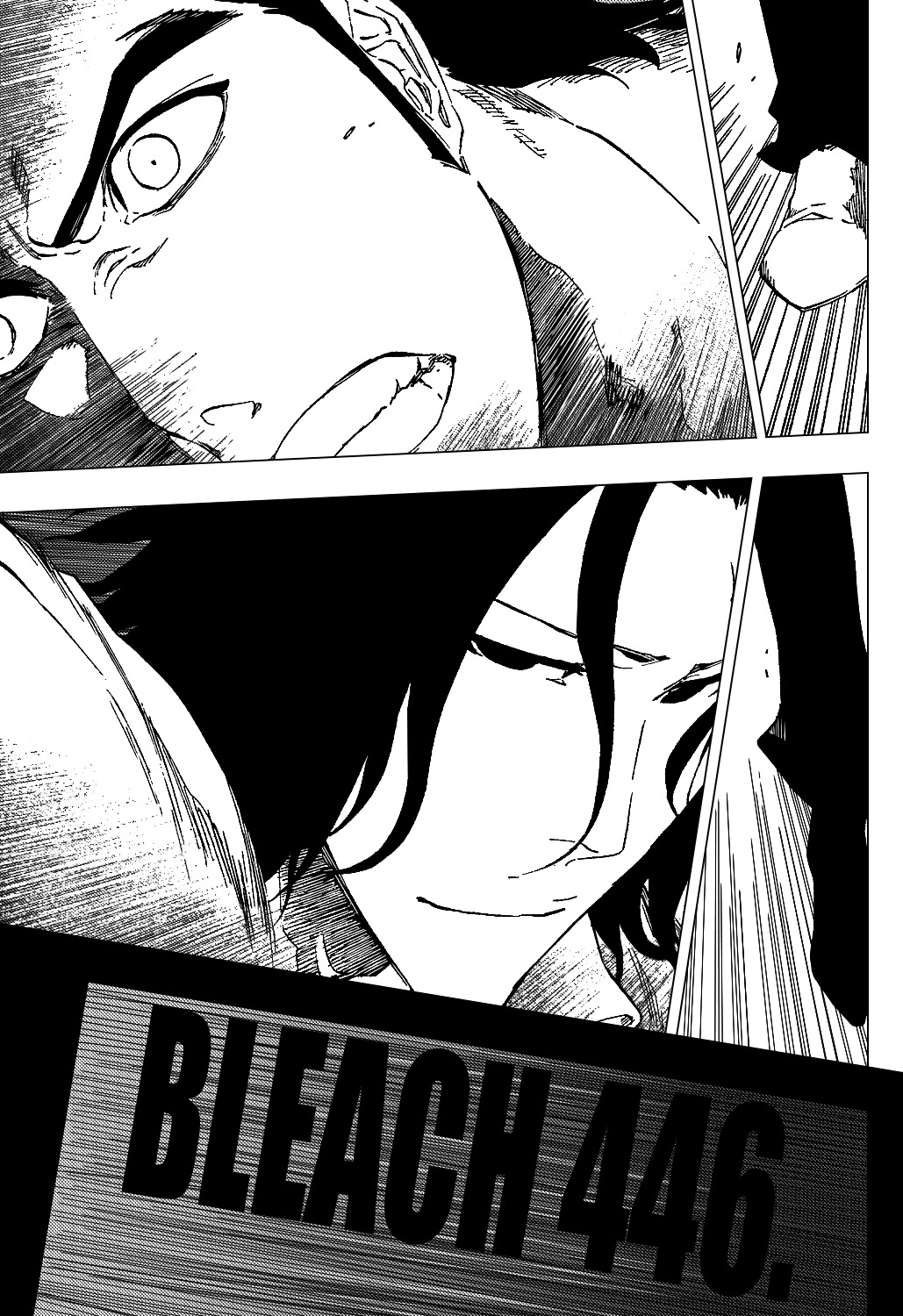 Bleach, Chapter 446 image 10