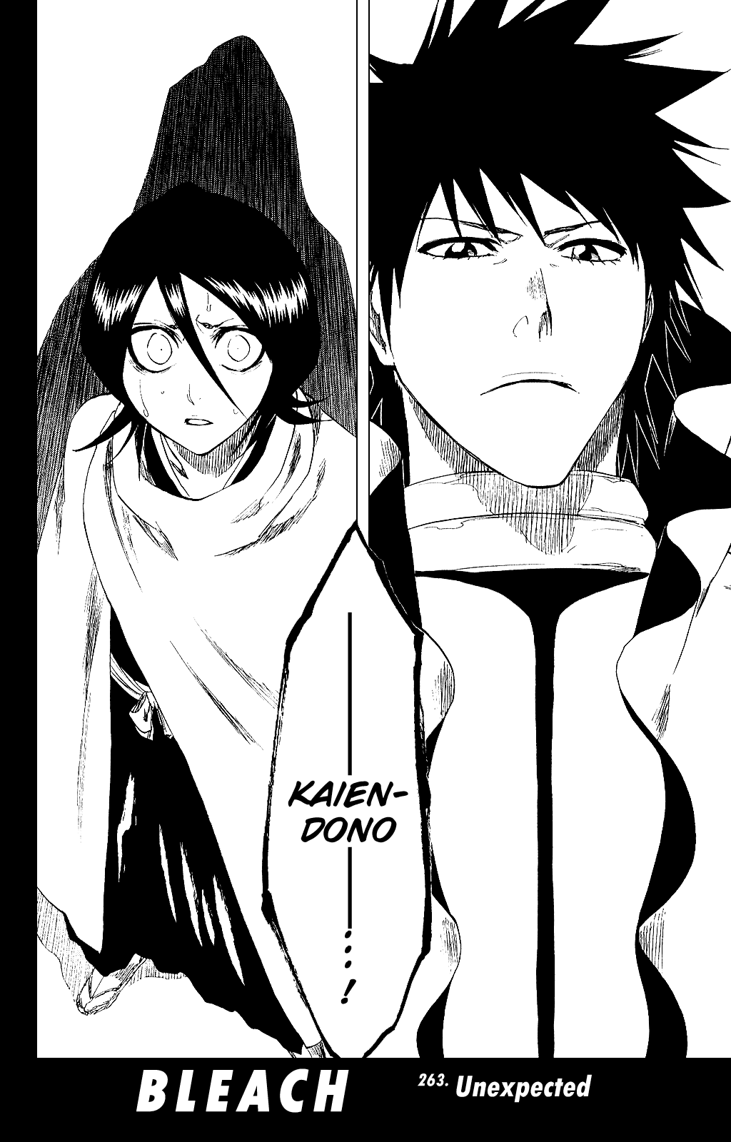 Bleach, Chapter 263 image 02