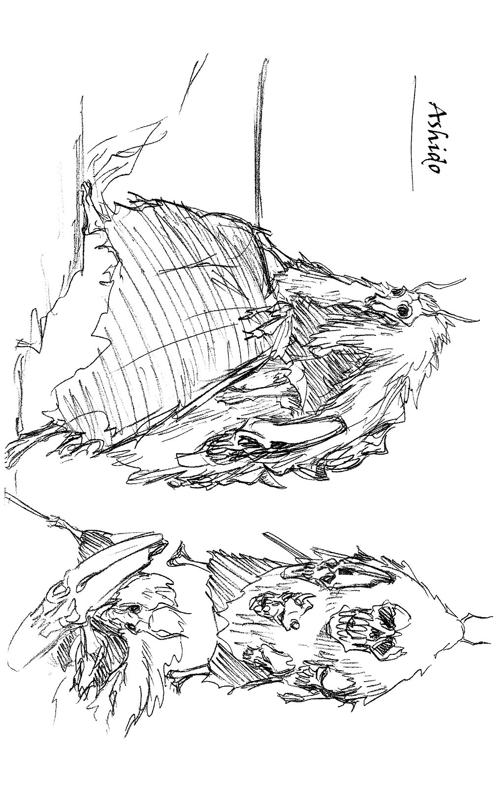 Bleach, Chapter 260 image 25