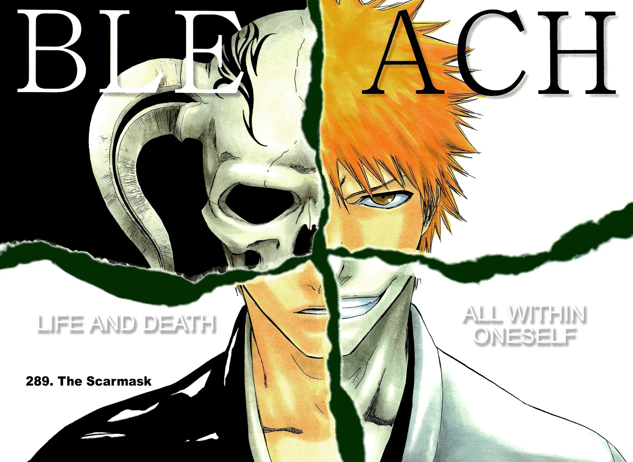Bleach, Chapter 289 image 04
