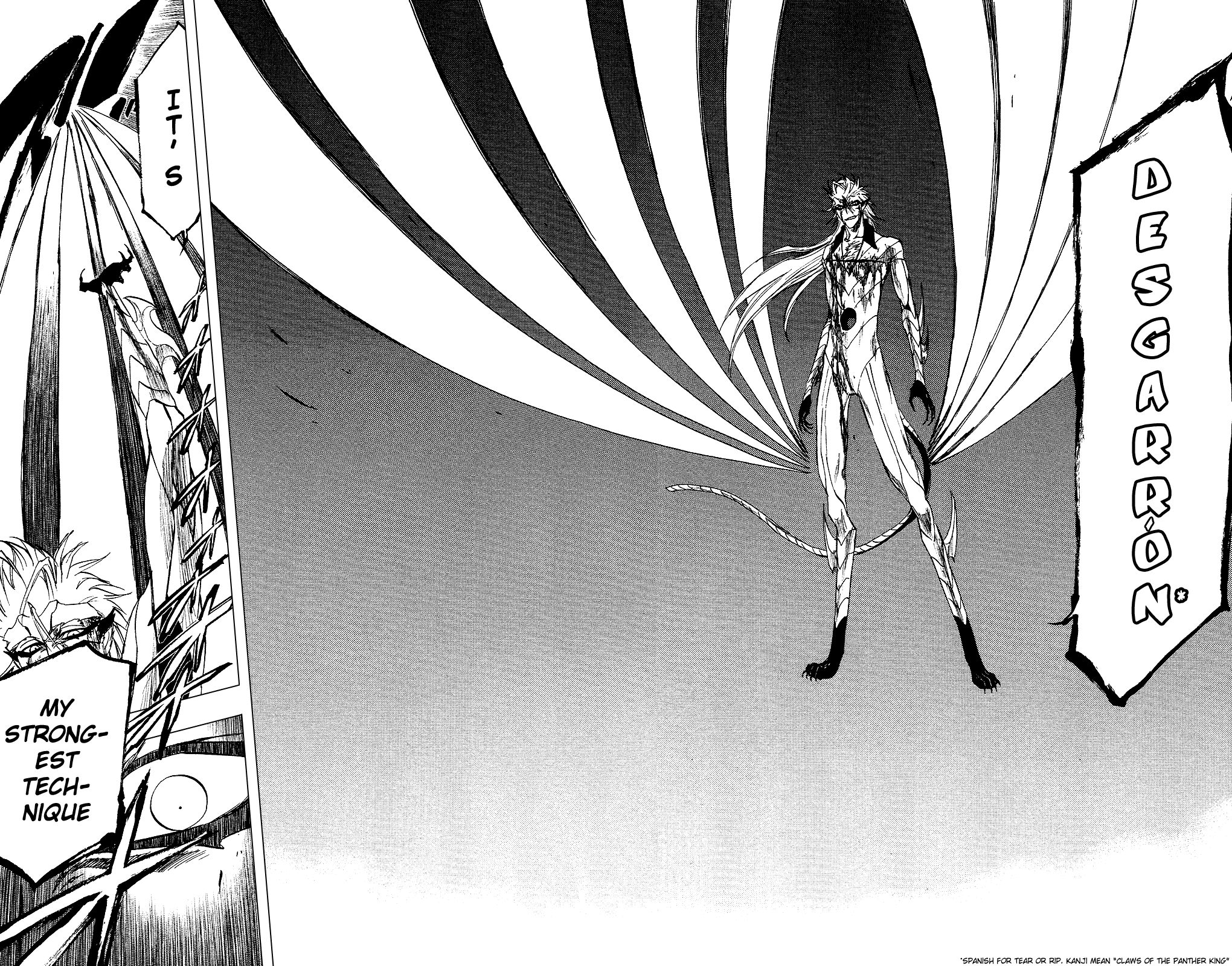 Bleach, Chapter 285 image 02