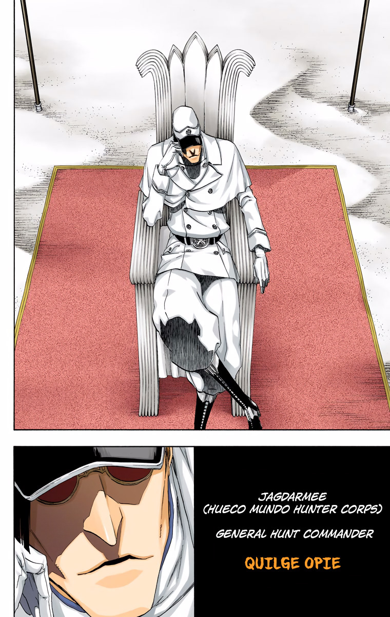 Bleach, Chapter 487 image 12