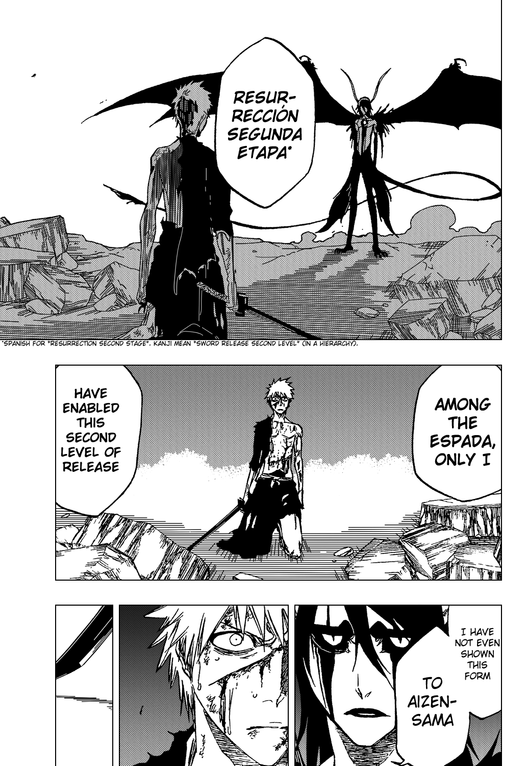 Bleach, Chapter 348 image 11