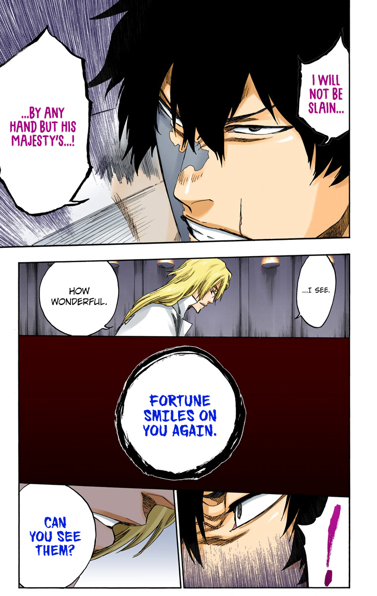 Bleach, Chapter 559 image 14
