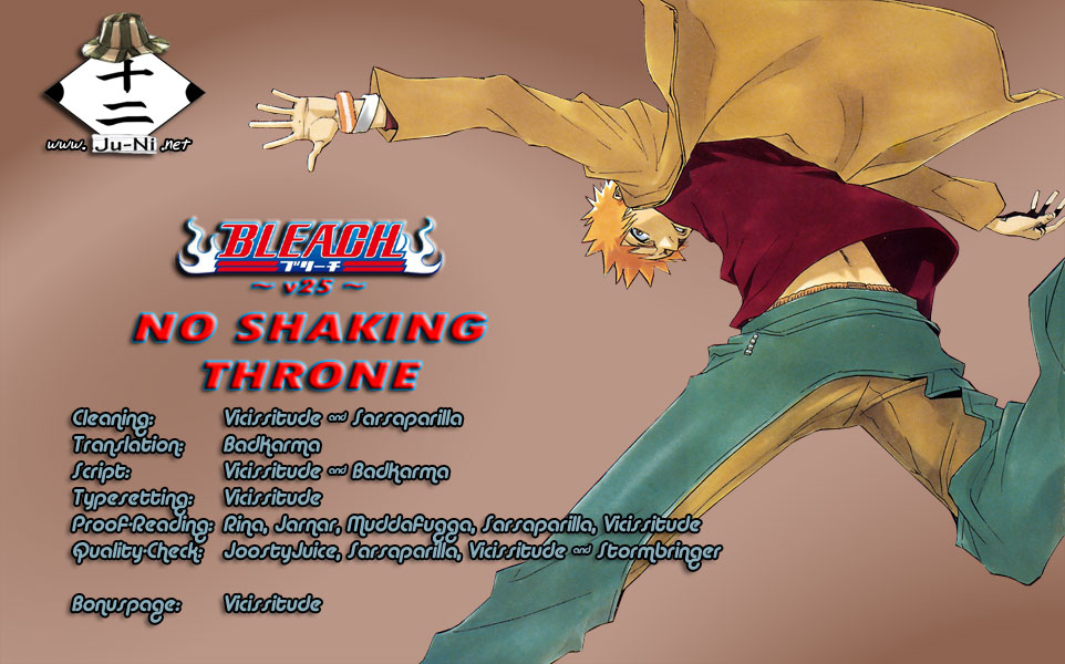 Bleach, Chapter 215 image 01