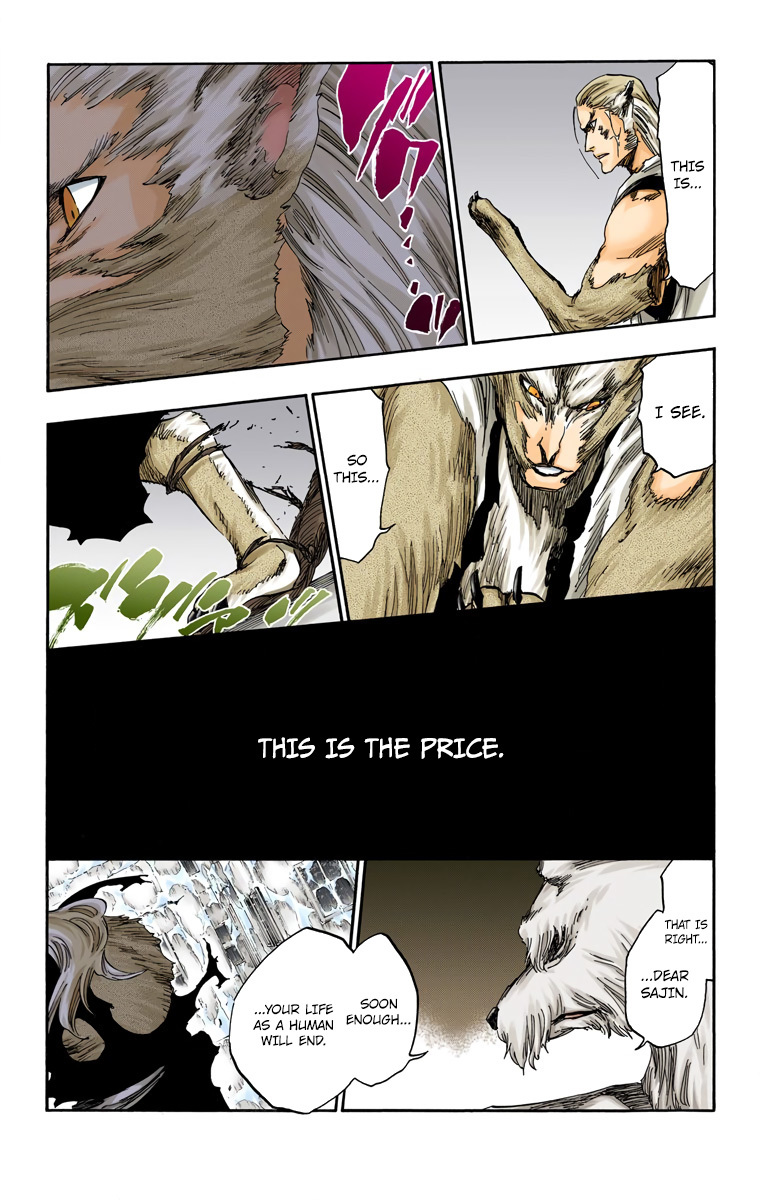 Bleach, Chapter 558 image 13