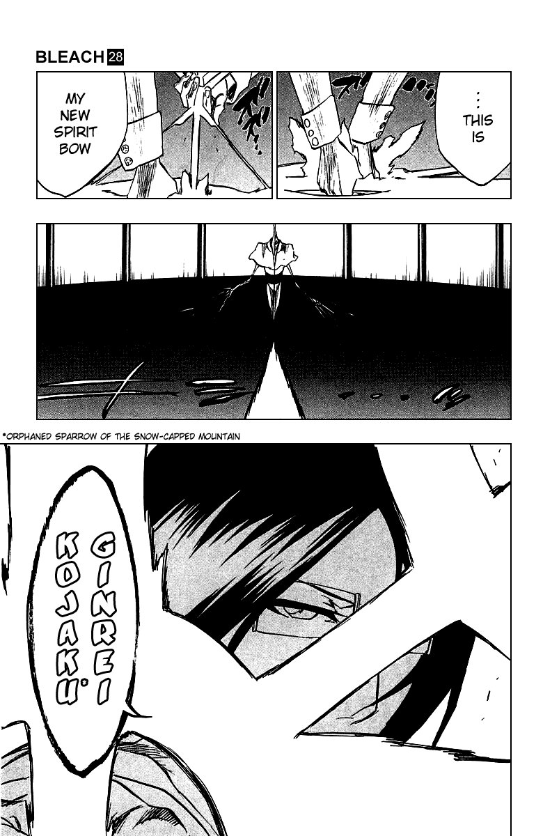 Bleach, Chapter 243 image 10