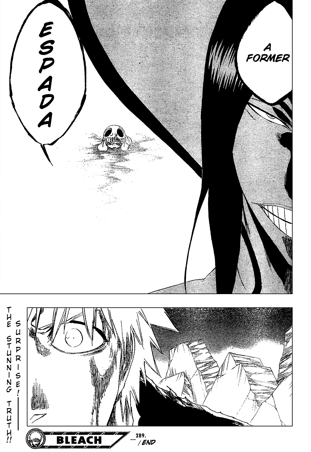Bleach, Chapter 289 image 21