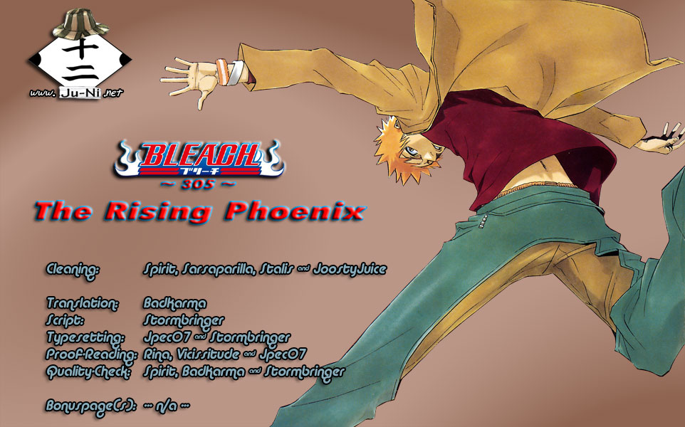 Bleach, Chapter 305 image 01